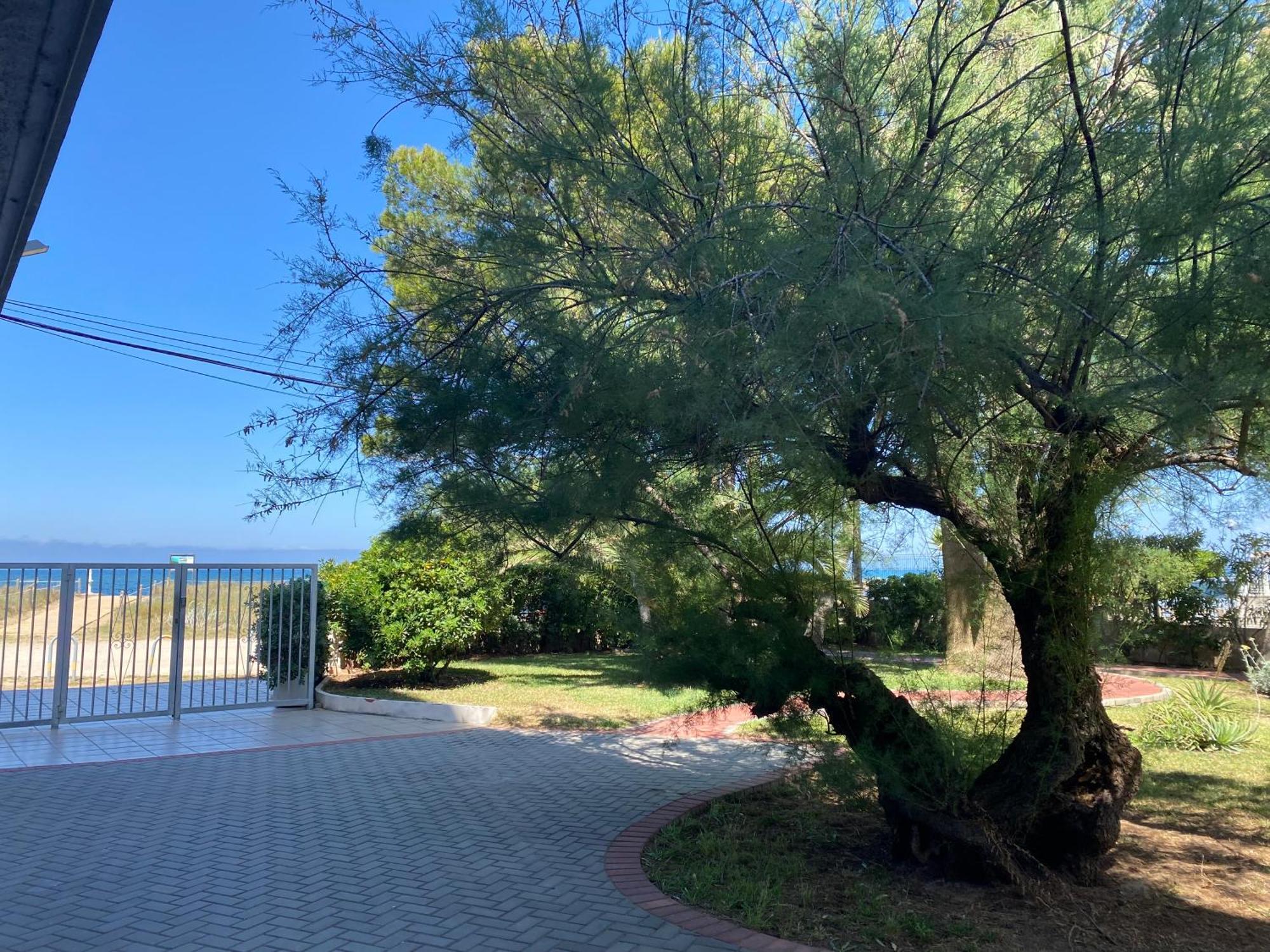 Piso Nuevo Primera Linea A Pie De Playa Denia Εξωτερικό φωτογραφία